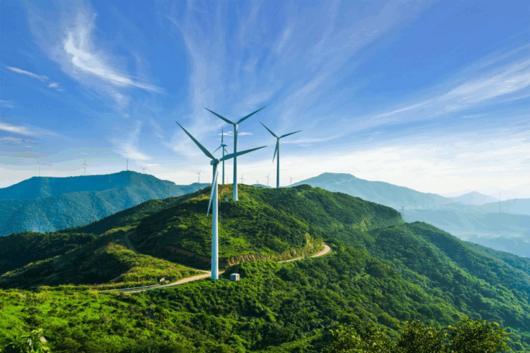 Sustainbility
